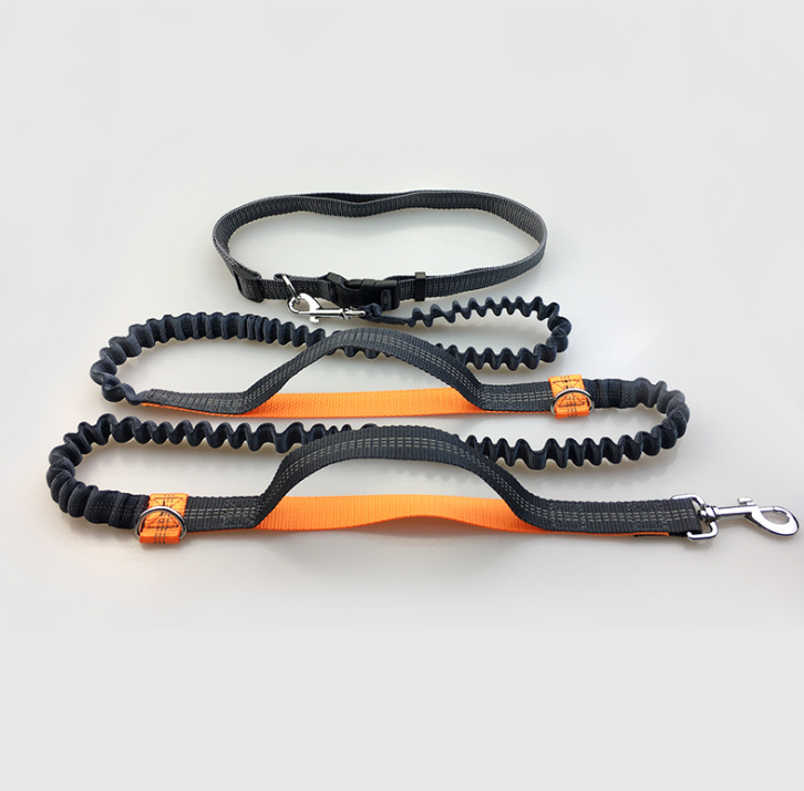 Amazon direct pet supplies multi-function running reflective pull dog leash double elastic dog leash traction  -  - Pets Crazy Shops -