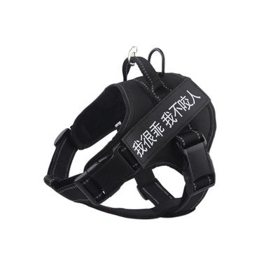 Pet harness  -  - Pets Crazy Shops -