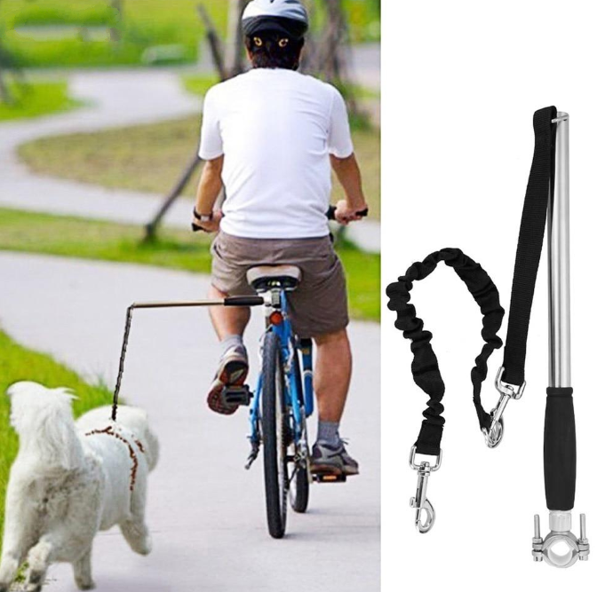 Bicycle walking dog leash  -  - Pets Crazy Shops -