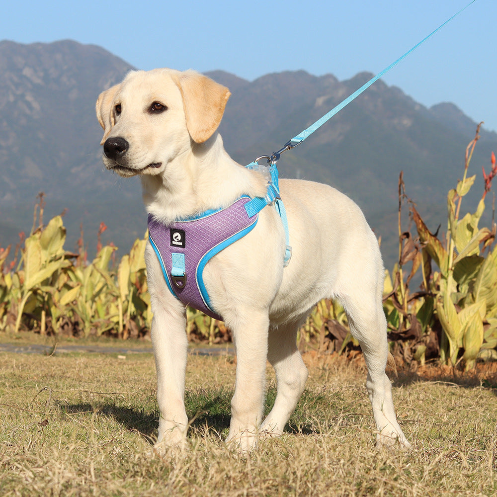 Breathable Pet Harness Adjustable Leash  -  - Pets Crazy Shops -