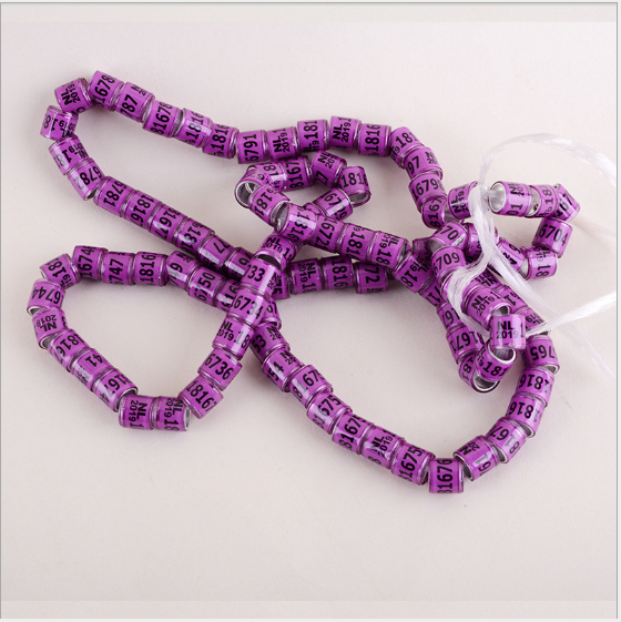 pigeon anklet  -  - Pets Crazy Shops -