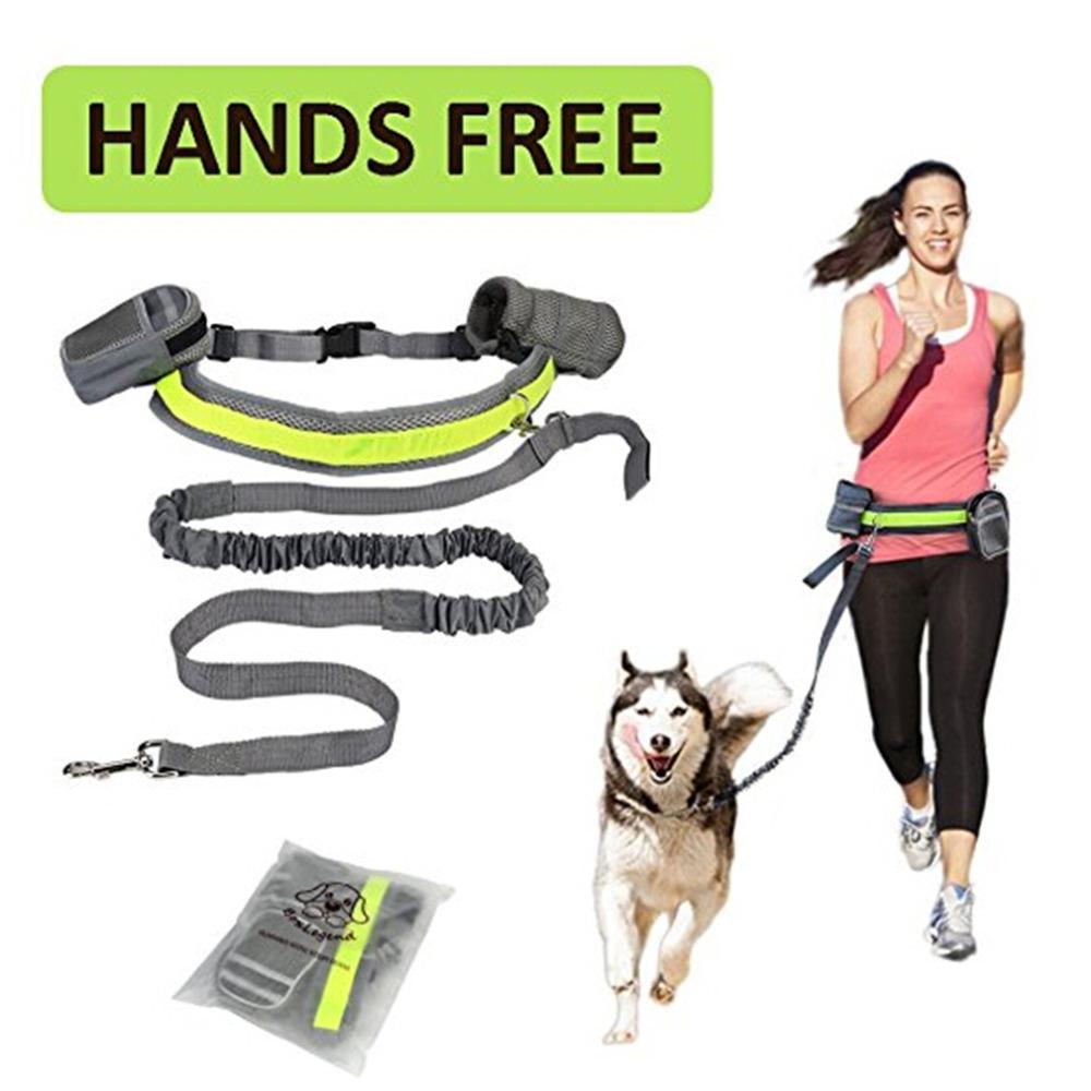 Adjustable Hands Free Dog Leash  -  - Pets Crazy Shops -