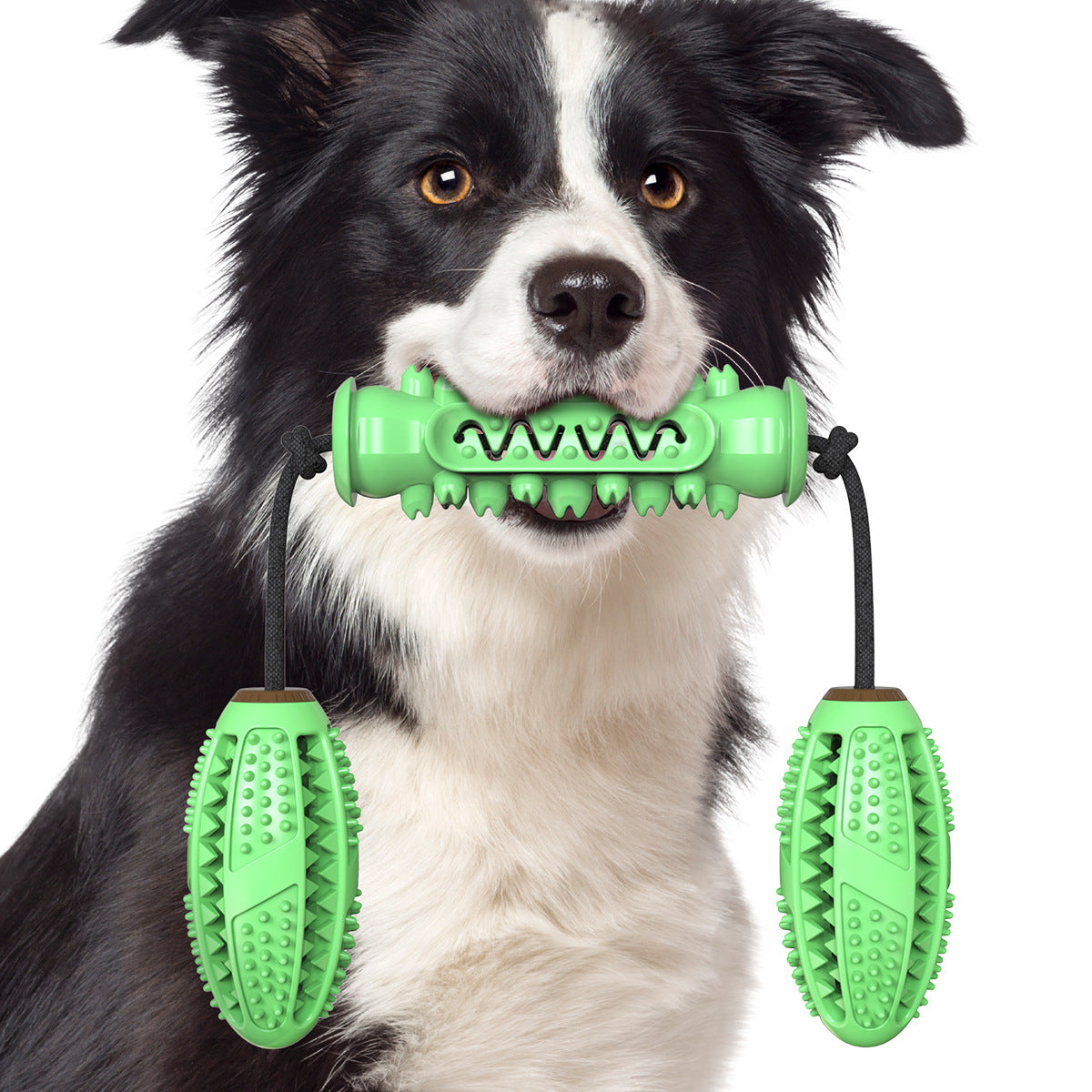 Dog Chew Toy & Toothbrush Rubber Bone | 360° Teeth Cleaning Molar Toy