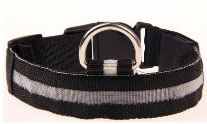 LED Pet Safety Collar  -  - Pets Crazy Shops -