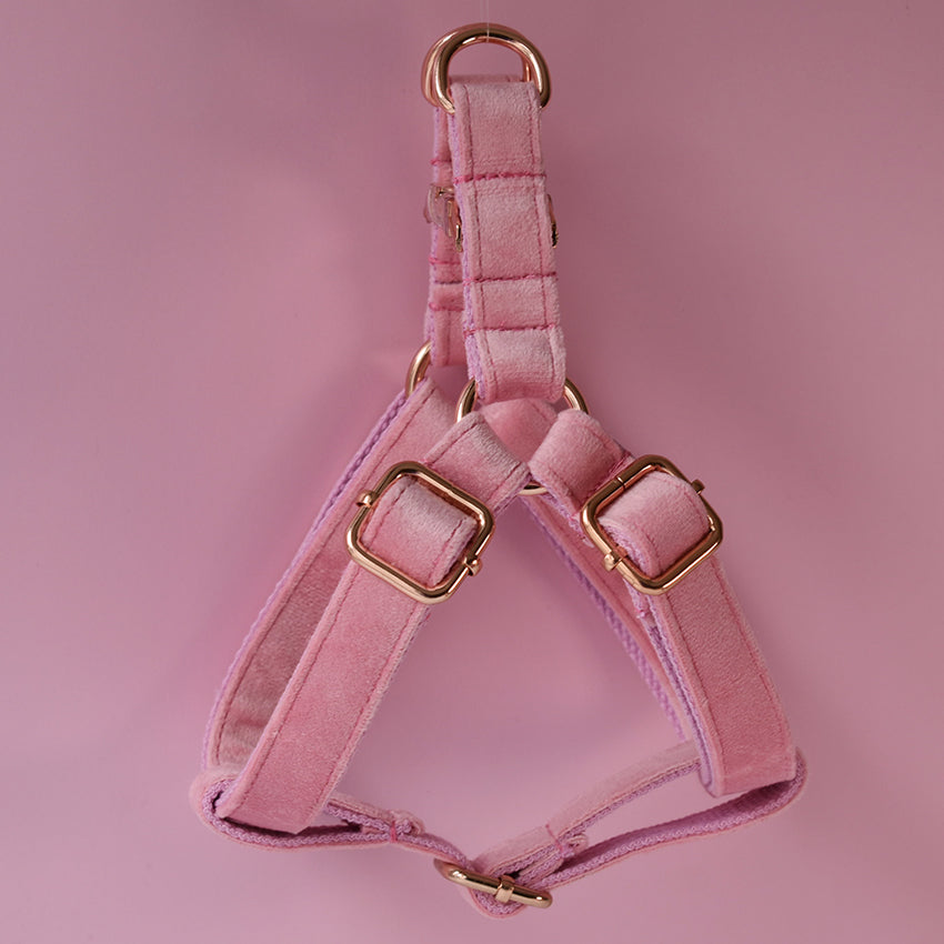 Flannel Dog Harness Pet Supplies Pet Chest Harness  -  - Pets Crazy Shops -