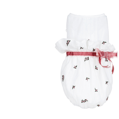 Pet cat clothes  -  - Pets Crazy Shops -