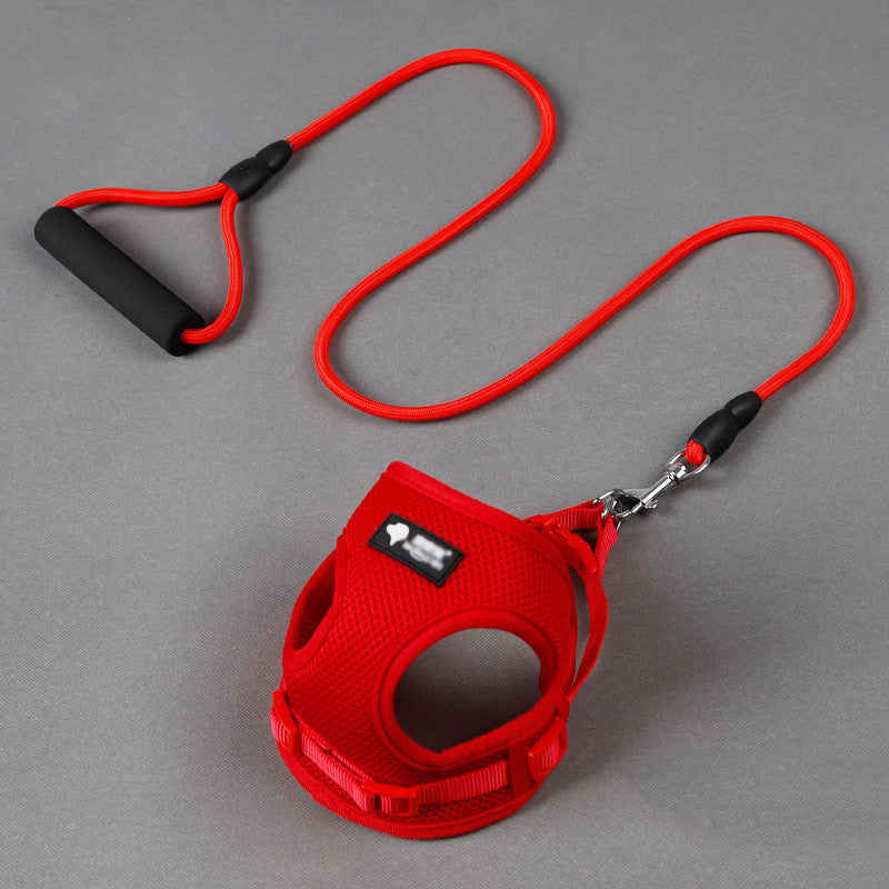 Dog leash dog leash dog collar  -  - Pets Crazy Shops -