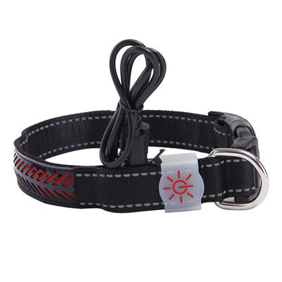 LED light collar pet collar  -  - Pets Crazy Shops -