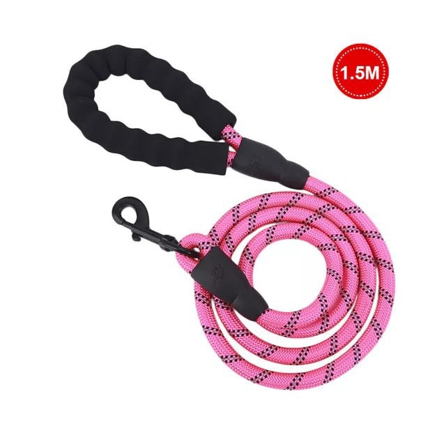 Small Medium Sized Pet Dog Luminous Leash Chain Puppies  -  - Pets Crazy Shops -