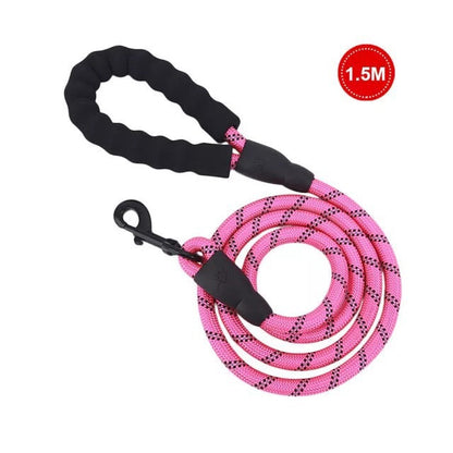 Small Medium Sized Pet Dog Luminous Leash Chain Puppies  -  - Pets Crazy Shops -
