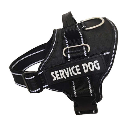 Personalized Copybook Reflective Dog Harness  -  - Pets Crazy Shops -