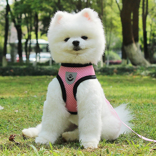Pet Car Seat Belt Pet Leash  -  - Pets Crazy Shops -