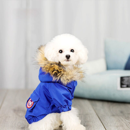 Pet dog clothes wool hat clothes cotton clothes  -  - Pets Crazy Shops -