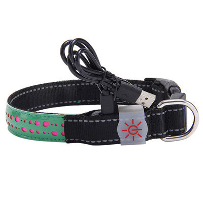 LED light collar pet collar  -  - Pets Crazy Shops -