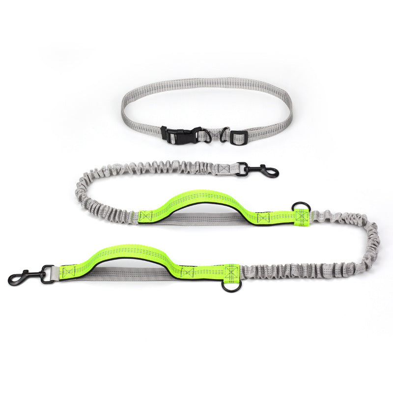 Pet Supplies Outdoor Running Dog Leash  -  - Pets Crazy Shops -
