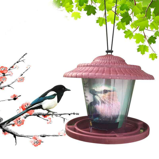 Plastic transparent bird feeder  -  - Pets Crazy Shops -
