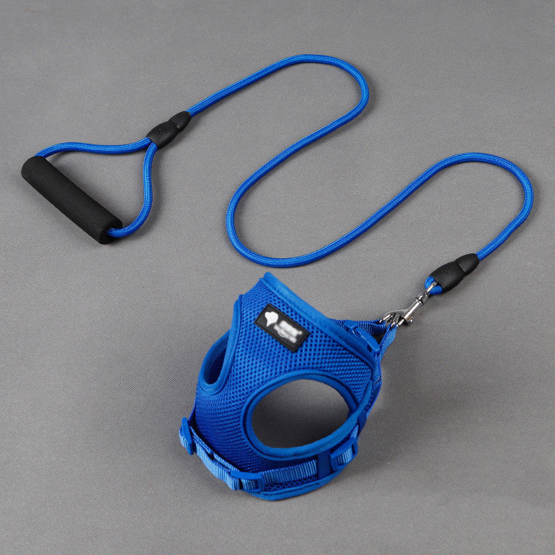 Dog leash dog leash dog collar  -  - Pets Crazy Shops -
