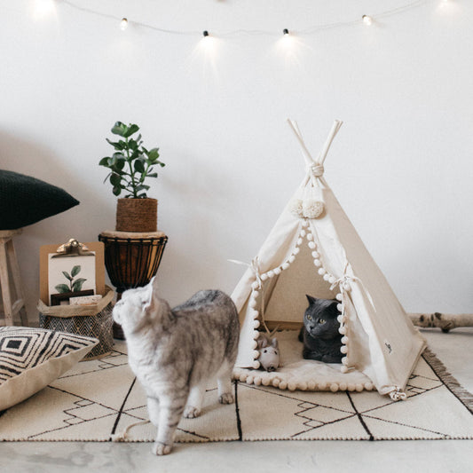 Pet Tent Bed  -  - Pets Crazy Shops -
