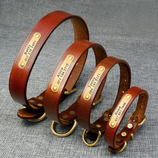 Dog Collar Pet Collar Custom  -  - Pets Crazy Shops -