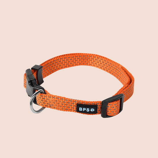 Luminous dog collar collar leash neck collar  -  - Pets Crazy Shops -