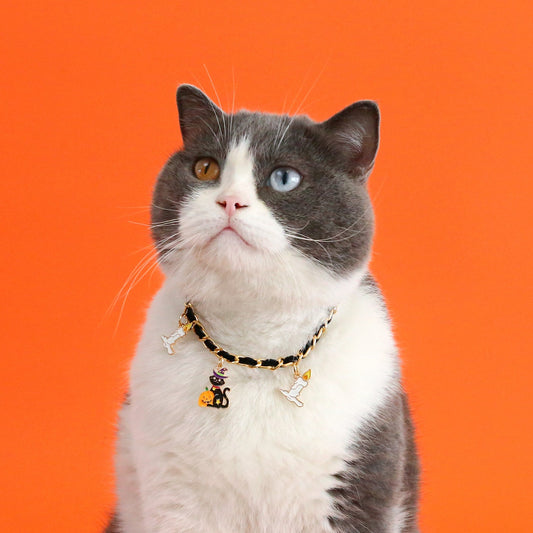 Pet Halloween Collar Velvet Dripping Bat Accessories  -  - Pets Crazy Shops -