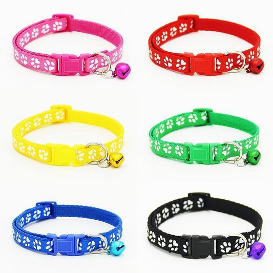 The pet cat wears a bell collar  -  - Pets Crazy Shops -