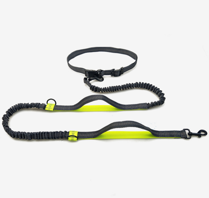 Amazon direct pet supplies multi-function running reflective pull dog leash double elastic dog leash traction  -  - Pets Crazy Shops -