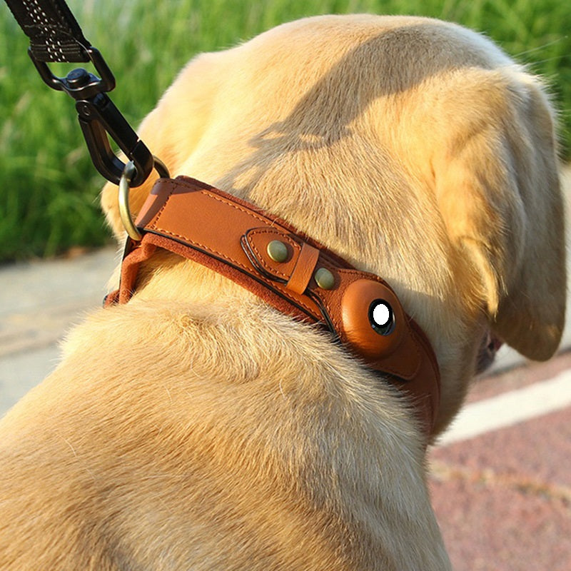 Location Tracker First Layer Leather Dog Pet Collar  -  - Pets Crazy Shops -