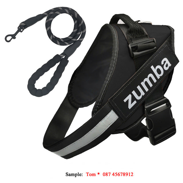 Personalized Reflective Breathable Adjustable Dog Harness and Leash Set  -  - Pets Crazy Shops -