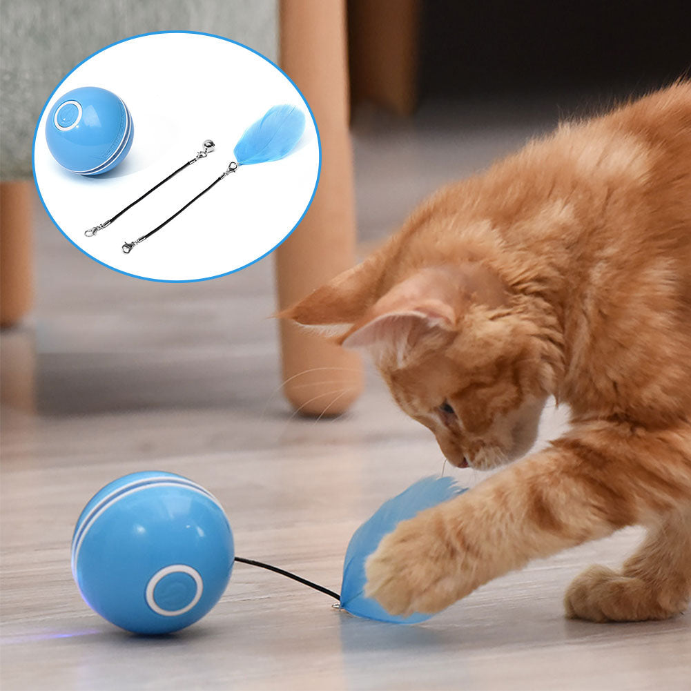 Colorful LED Laser Funny Cat Ball  -  - Pets Crazy Shops -