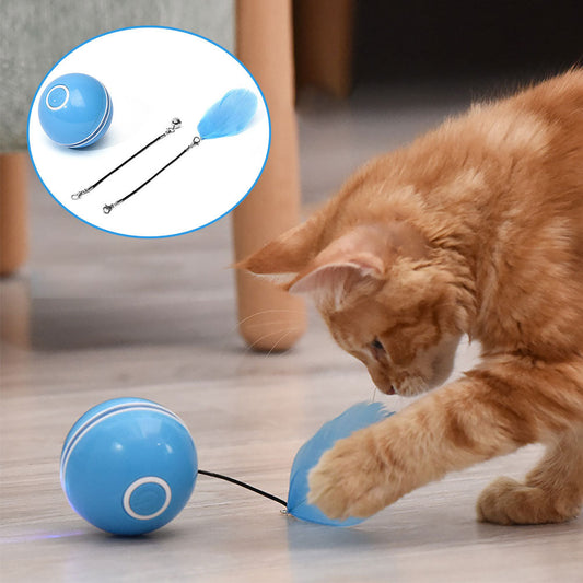 Colorful LED Laser Funny Cat Ball  -  - Pets Crazy Shops -