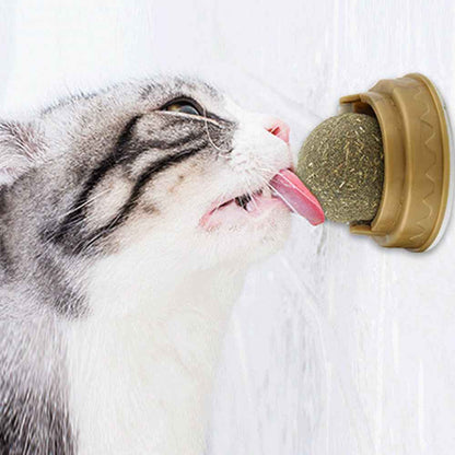 Catnip Balls Cat Treats Rotary Molar Teeth Cleaning  -  - Pets Crazy Shops -