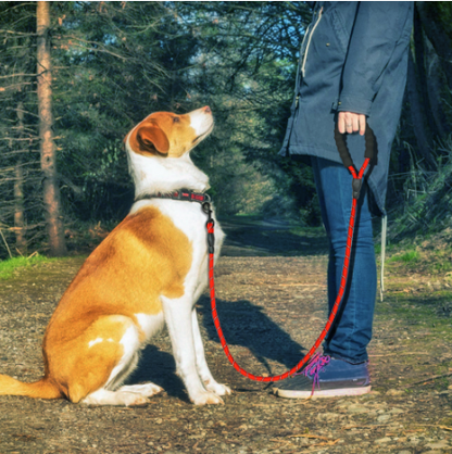 Reflective Dog Leash Nylon Pet Dog Leash Rope For Small Medium Large Dogs Walking Training Pet Suppiles  -  - Pets Crazy Shops -
