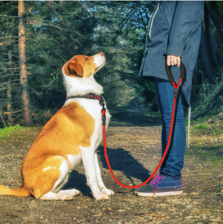Reflective Dog Leash Nylon Pet Dog Leash Rope For Small Medium Large Dogs Walking Training Pet Suppiles  -  - Pets Crazy Shops -