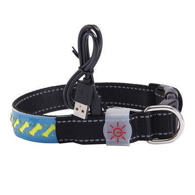 LED light collar pet collar  -  - Pets Crazy Shops -