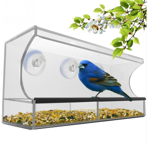New acrylic feeder  -  - Pets Crazy Shops -
