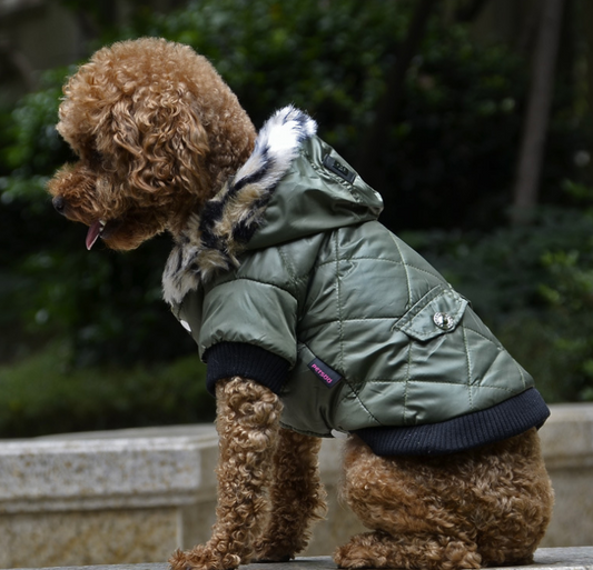 Cross-border pet supplies pet clothes dog clothes autumn and winter fur collar coat pet dog clothing  -  - Pets Crazy Shops -
