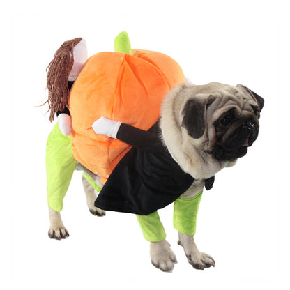 clothes for pets  -  - Pets Crazy Shops -