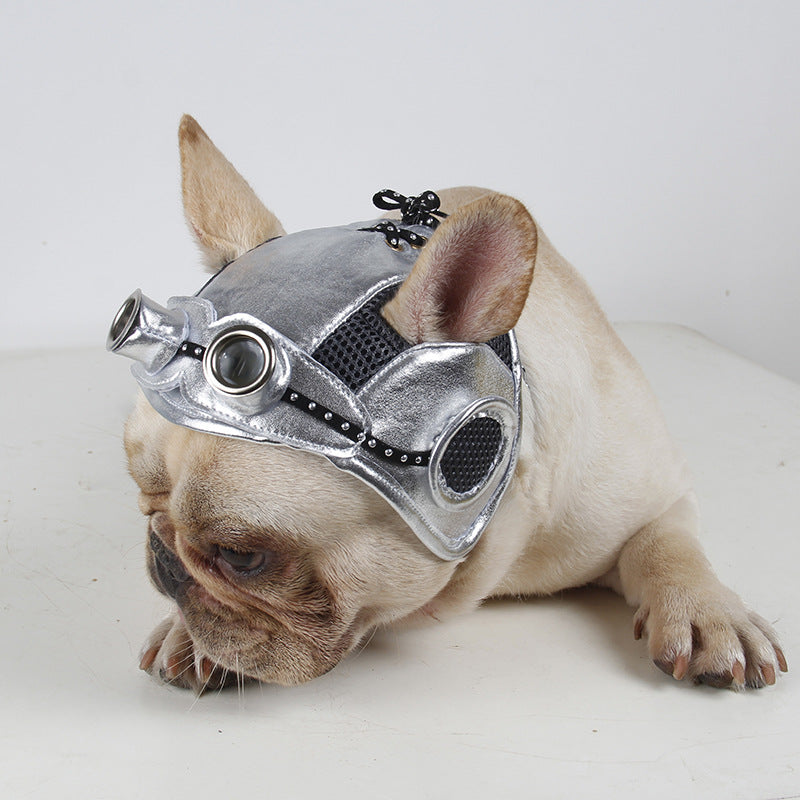 Pet Products Party Dress Fight  -  - Pets Crazy Shops -