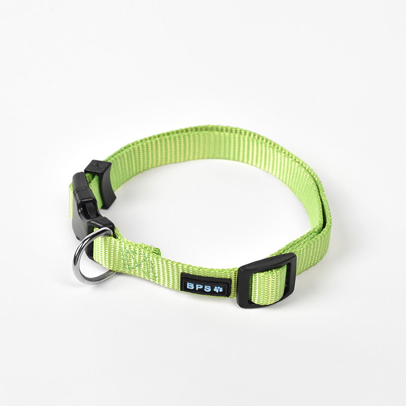 Luminous dog collar collar leash neck collar  -  - Pets Crazy Shops -