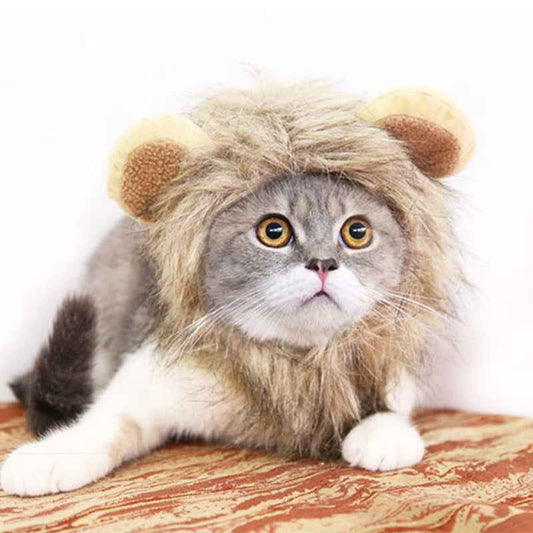 Funny Pet Hat For Small Dogs Cats Hat Emulation Lion Hair Mane Ears Head Cap Scarf Pet Halloween Festival Costume  -  - Pets Crazy Shops -