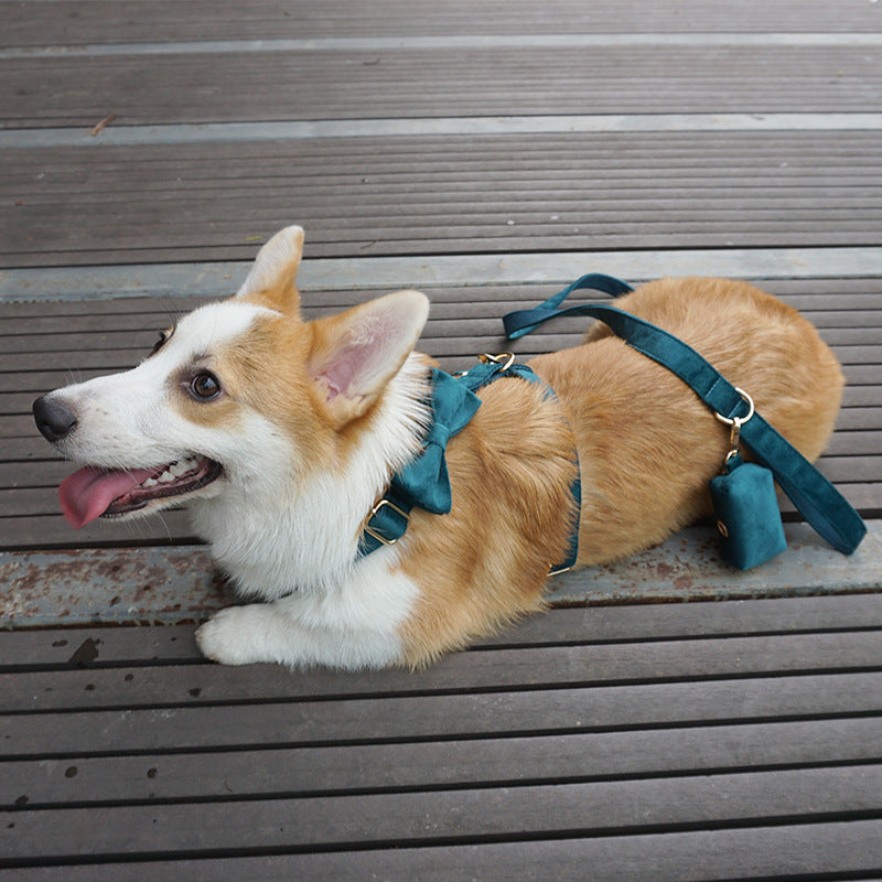 New Product Original Pet Outing Chest Back Cover  -  - Pets Crazy Shops -
