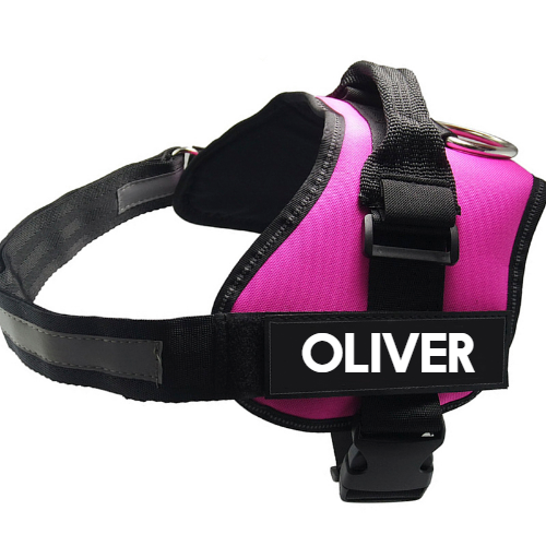 Pet Chest Harness Dog Leash Pet Supplies  -  - Pets Crazy Shops -