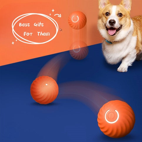 Pet Dog Rubber Ball Toys For Dogs Resistance To Bite Dog Chew Toys Puppy Pets Dogs Training Products  -  - Pets Crazy Shops -