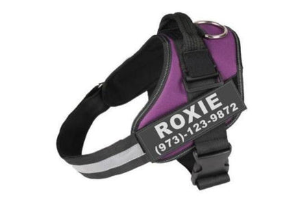 Personalized Custom Reflective Breathable Dog Harness NO PULL Adjustable Pet Harness For Small Large Dog Harness Vest With Patch  -  - Pets Crazy Shops -