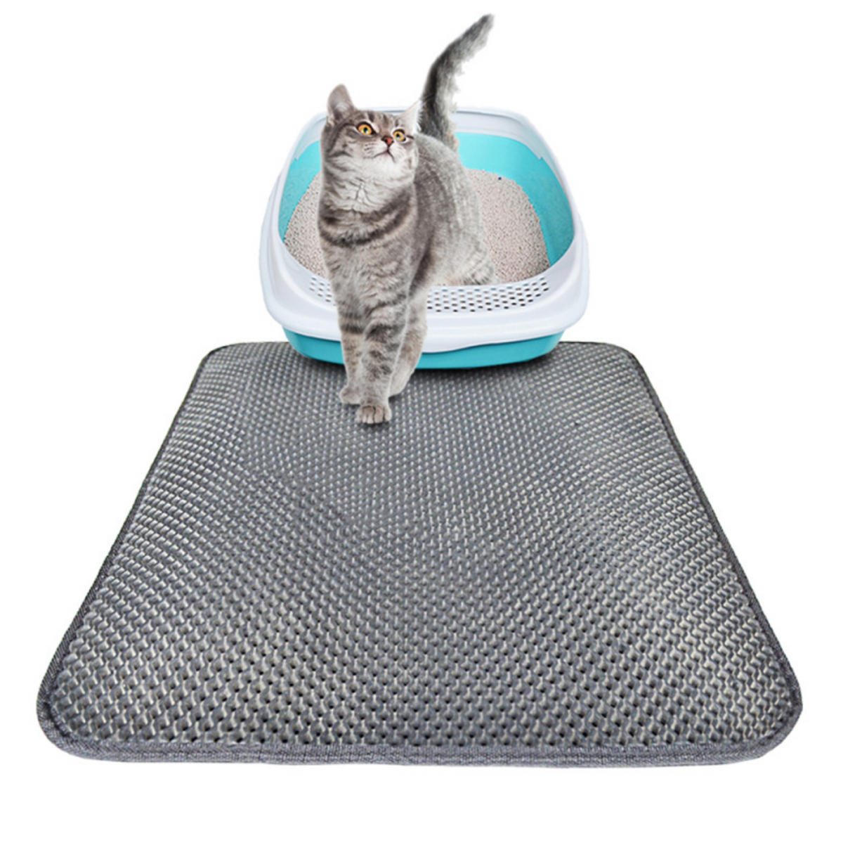 Double Layer Litter Cat Bed Pads Pet Cat Litter Mat Trapping Pets Litter Box Mat Pet Product Bed For Cats House Clean Mat  -  - Pets Crazy Shops -