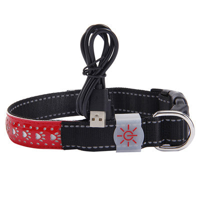 LED light collar pet collar  -  - Pets Crazy Shops -
