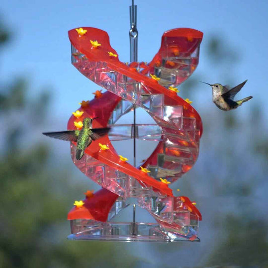 Climbing Ladder Spiral Hummingbird Feeder  -  - Pets Crazy Shops -