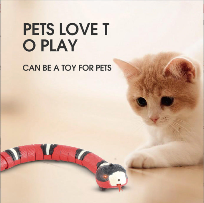 Smart Sensing Snake Cat Toys Electric Interactive Toys For Cats USB Charging Cat Accessories For Pet Dogs Game Play Toy  -  - Pets Crazy Shops -