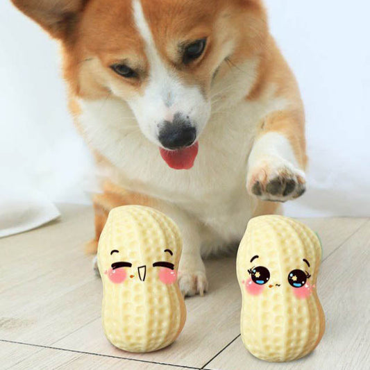 Funny Pet Dog Squeaky Toys For Small Middle Dogs Bite Resistant Puppy Cat Dogs Toys Pets Rubber Peanut Clean Tooth Chew Toy  -  - Pets Crazy Shops -